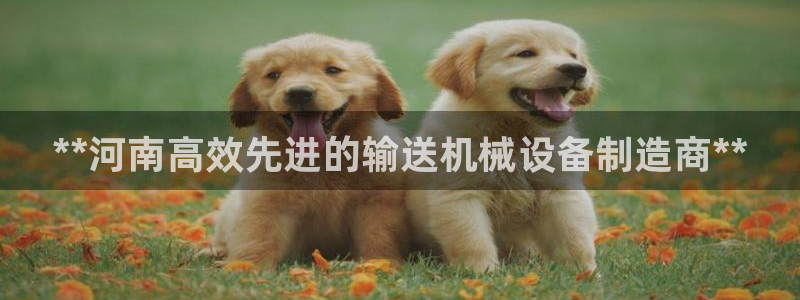 金年会网站平台怎么样：**河南高效先进的输送机械设备制造商**