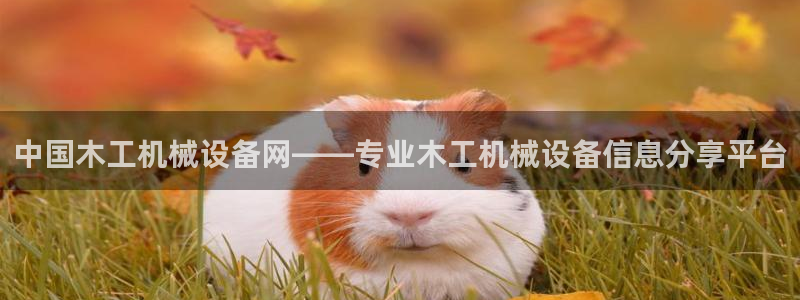 金年会金字招牌登录入口评测：中国木工机械设备网——专业木工机械设备信息分享平台