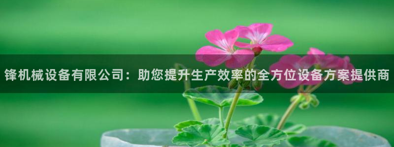 金年会官方下载入口手机版：锋机械设备有限公司：助您提升生产效率的全方位设备方案提供商