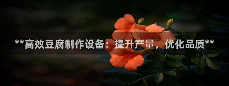 金年会网登录平台入口：**高效豆腐制作设备：提升产量，优化品质**