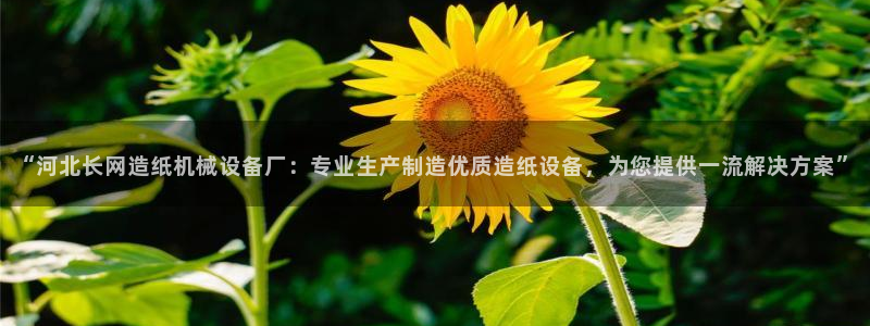 金年会ios版下载安装：“河北长网造纸机械设备厂：专业生产制造优质造纸设备，为您提供一流解决方案”