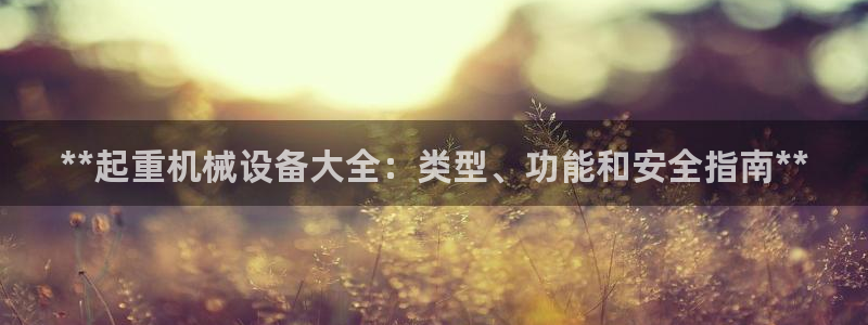金年会黑平台不给出款：**起重机械设备大全：类型、功能和安全指南**
