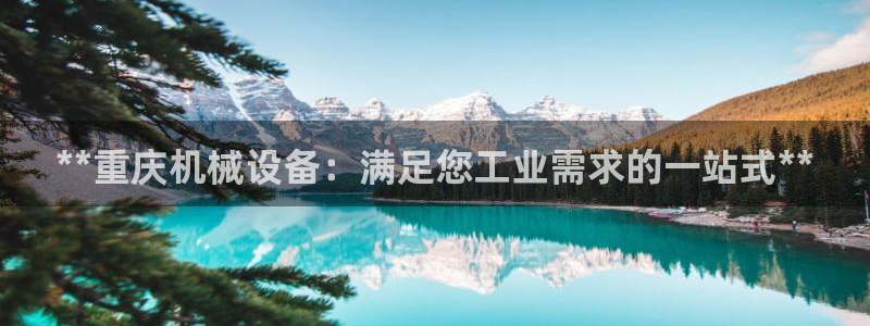 金年会官方网站入口登录：**重庆机械设备：满足您工业需求的一站式**