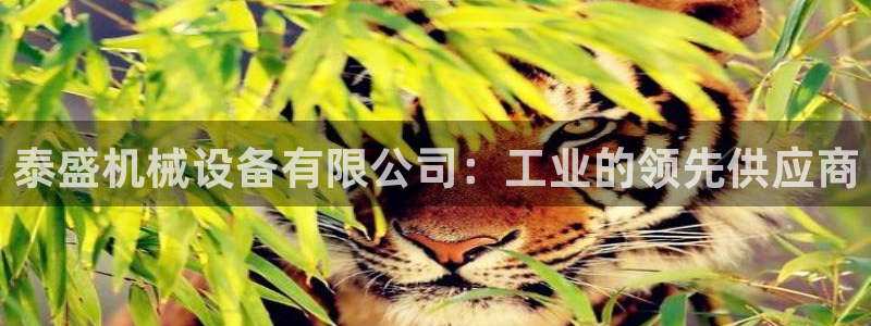 金年会网站可靠吗：泰盛机械设备有限公司：工业的领先供应商