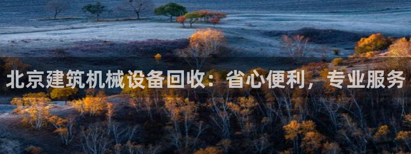 金年会jinnianhuicom：北京建筑机械设备回收：省心便利，专业服务