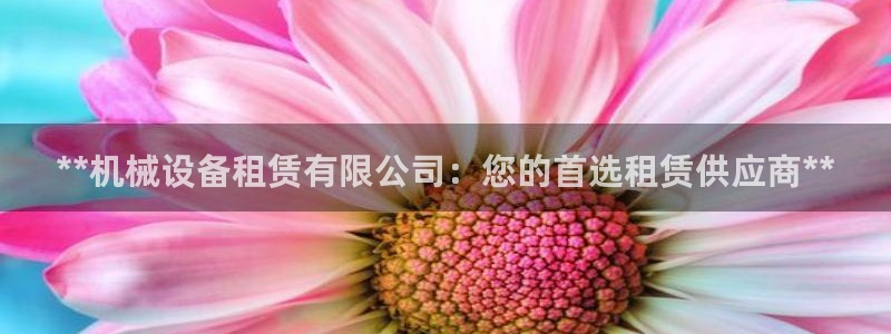 金年会体育平台连接下载app：**机械设备租赁有限公司：您的首选租赁供应商**