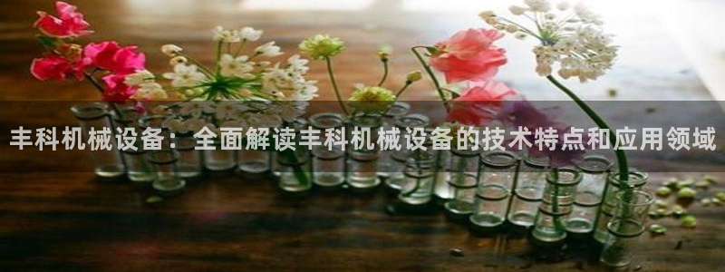 金年会官方在线入口网址大全：丰科机械设备：全面解读丰科机械设备的技术特点和应用领域