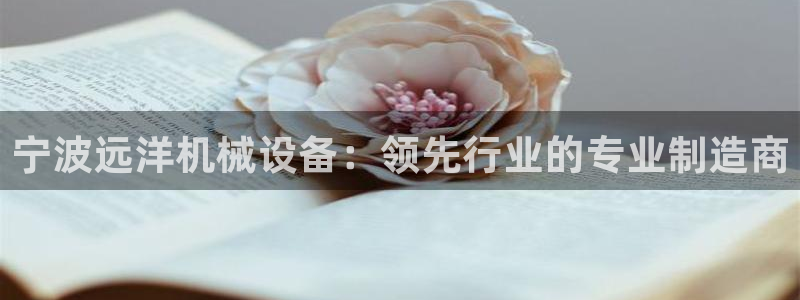 金年会官方网址登录入口：宁波远洋机械设备：领先行业的专业制造商