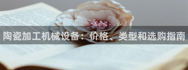 金年会官网中国：陶瓷加工机械设备：价格、类型和选购指南