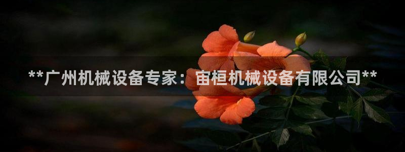 金年会官方网站入口v1.5.7：**广州机械设备专家：宙桓机械设备有限公司**