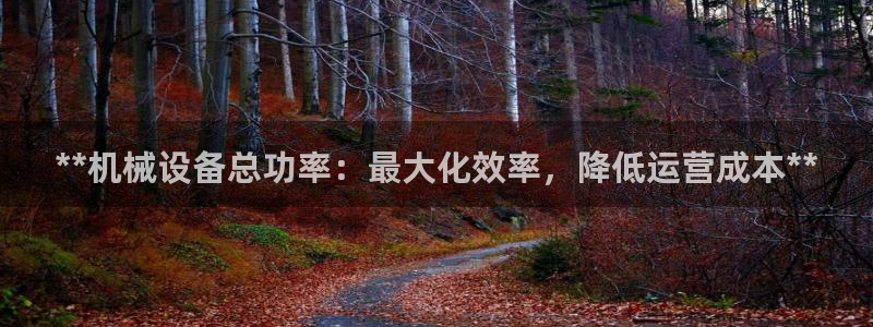 金年会金字招牌诚信至上龙年