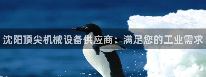 金年会官方网站入口登录网址是多少：沈阳顶尖机械设备供应商：满足您的工业需求