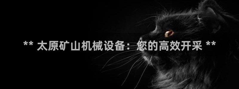 金年会体育网app下载