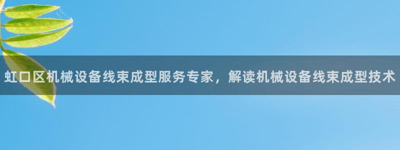 金年会官方登录入口网址是多少：虹口区机械设备线束成型服务专家，解读机械设备线束成型技术