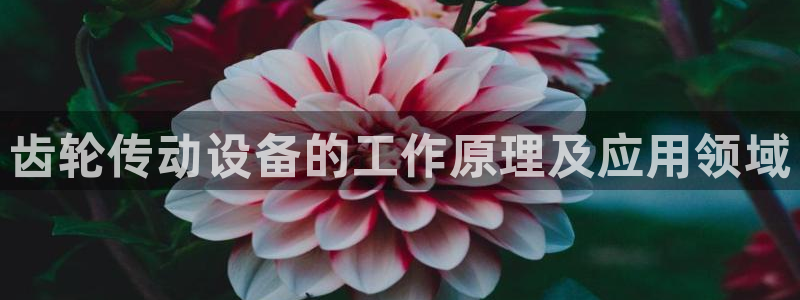金年会-金字招牌信誉至上正规吗：齿轮传动设备的工作原理及应用领域
