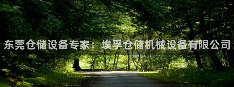 金年会app官网免费下载：东莞仓储设备专家：埃孚仓储机械设备有限公司