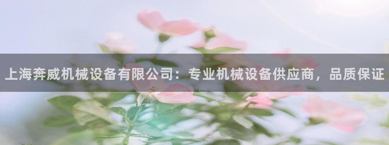 金年会官方网站入口登录网址是多少：上海奔威机械设备有限公司：专业机械设备供应商，品质保证