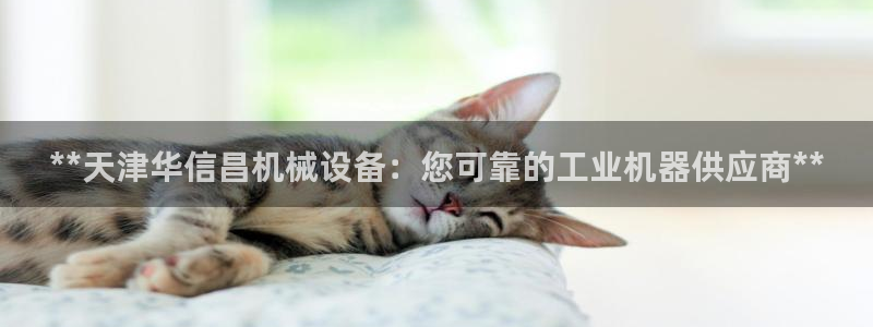 金年会体育官网登录入口下载：**天津华信昌机械设备：您可靠的工业机器供应商**