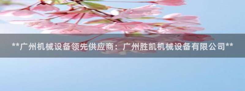 金年会黑不黑：**广州机械设备领先供应商：广州胜凯机械设备有限公司**