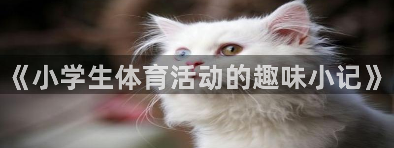 678体育官网：《小学生体育活动的趣味小记》