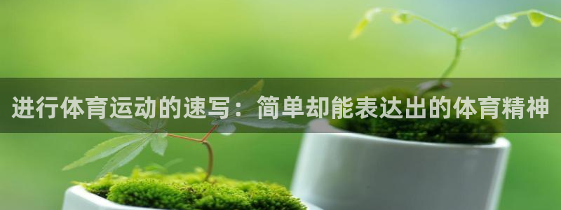 678体育官网：进行体育运动的速写：简单却能表达出的体育精神