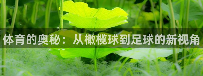 678体育app：体育的奥秘：从橄榄球到足球的新视角